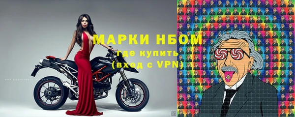 индика Бронницы